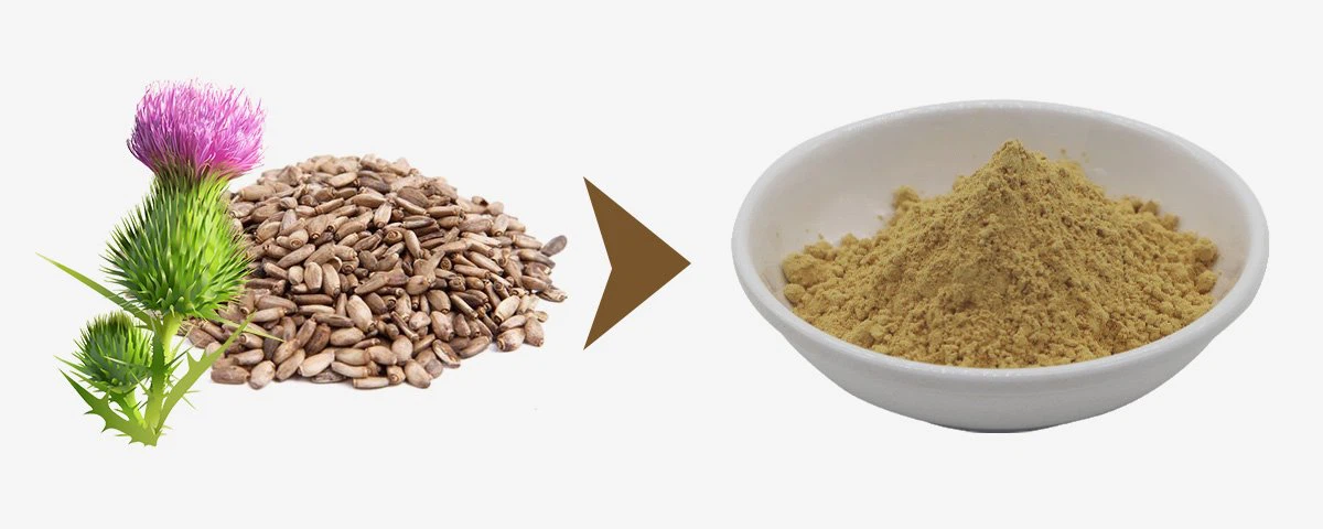 milk thistle extract powder best supplier